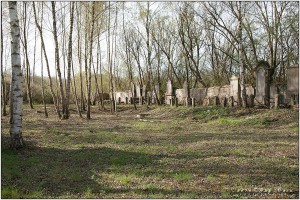 04112016_Ancien-cimetière-de-Calonne_024