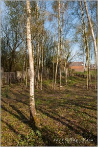 04112016_Ancien-cimetière-de-Calonne_029